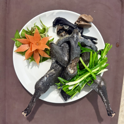 Gà H’mong hấp hành